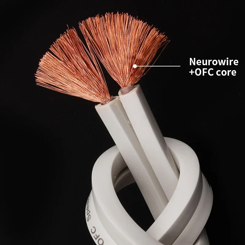 YYTCG DIY Cable de altavoz Cab - Home Cinema Dvd reseña y precio