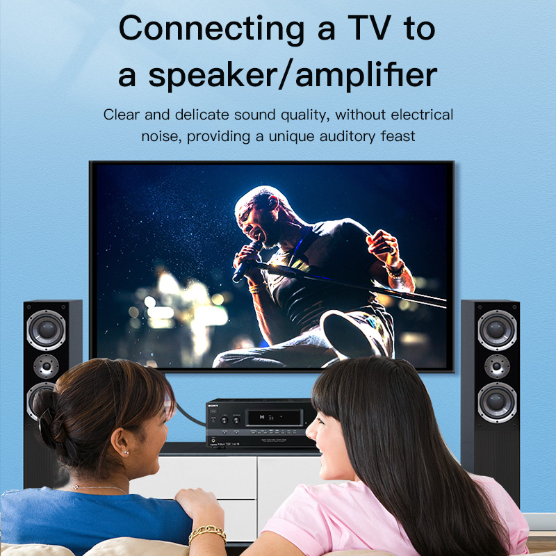 Cable RCA CHOSEAL, Cable de Au - Home Cinema Solution reseña y precio